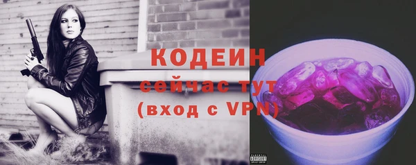 ГАЛЛЮЦИНОГЕННЫЕ ГРИБЫ Пестово