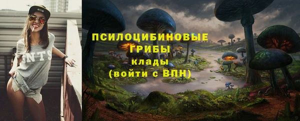 PSILOCYBIN Баксан