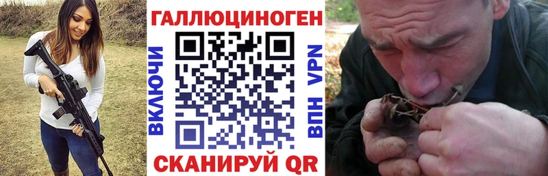 blacksprut сайт  Кимовск  Псилоцибиновые грибы Psilocybine cubensis 